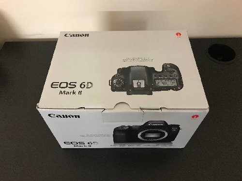 Affordable Canon EOS 6D Mark II 26.2MP Digital Cam