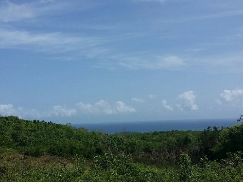 3/4 Acre Lot With Ocean View 