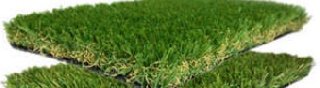 Crab Grass For Sale - Call 876-416-4027