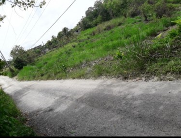 2 Acres Of Land For Sale In Friendship, St. James 