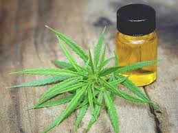 Cbd Oil For Cancer Treatment