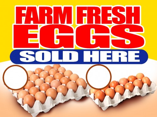 Eggs For Sale
