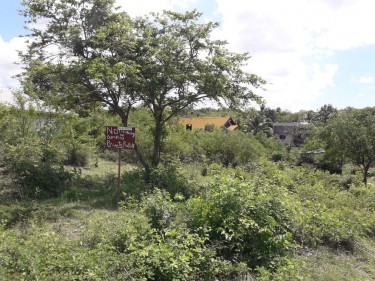 1/4 Acre Land For Sale 