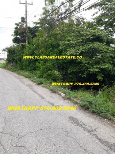 1/4 ACRE SLOPING LAND