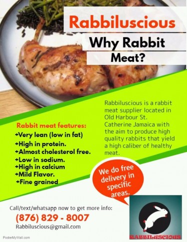 Healthy Rabbit Meat