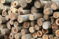 Wood Logs/Shores/Post For Sale Starting At $500JMD