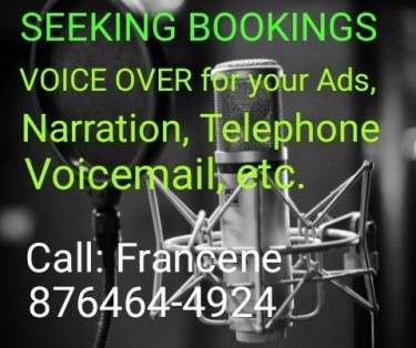 Voice Over For Advertisments, Audio Presentation 