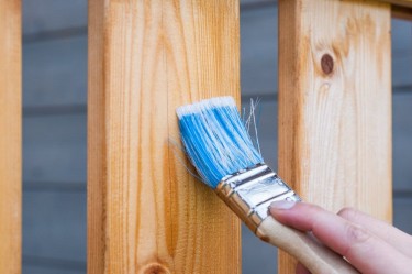 Repaint Your Home Or Office 