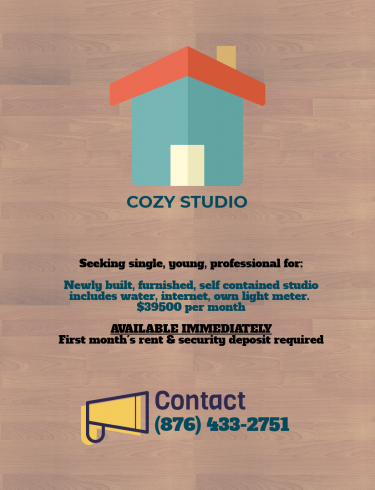 Furnished 1 Bedroom Studio For Young Professional