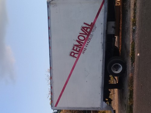 Hire And Removal Services