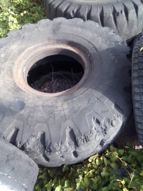 Tractor Tyres 29 And 23