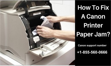 How To Clear Jammed Paper On A Canon Printer? 