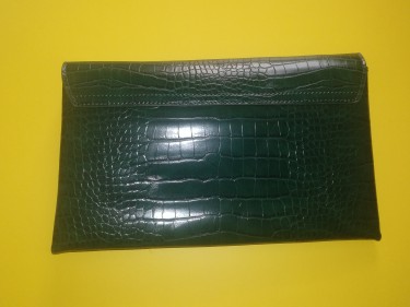 Brand New Green Clutch Bag/Purse
