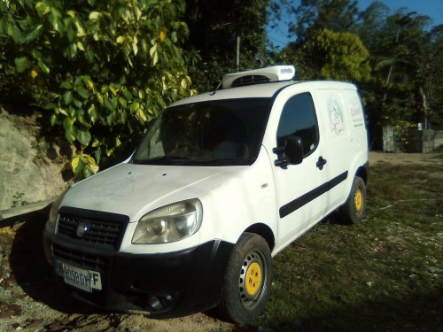 2009 Fiat Frazer Van