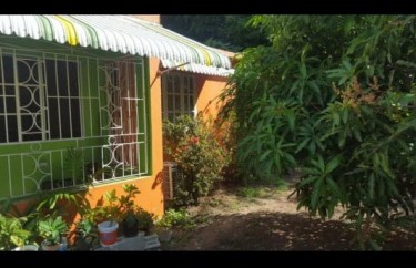 3 Bedroom Spacious Fruited Lot. Very Negotiable