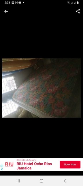 Double Bed ( Base+2mattresses)