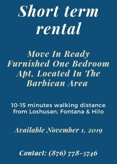 1 Bedroom Short Term Rental