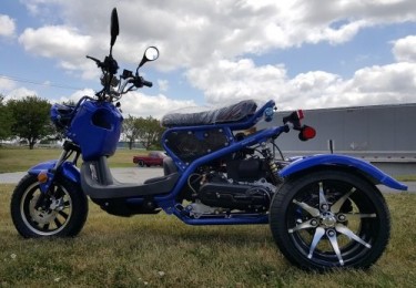 For Sale 50cc Trike Mean Dogg II Scooter Gas Moped