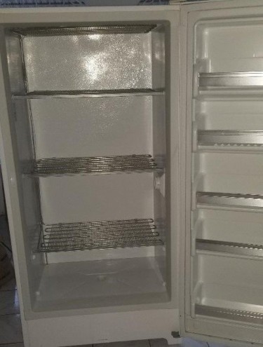 FRIGIDAIRE Standing Freezer