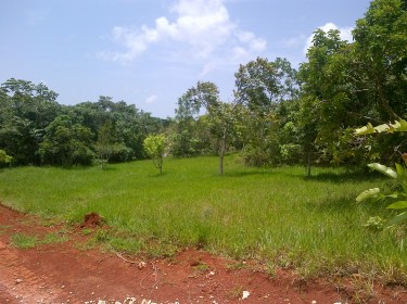 1.25 ACRE OF LAND FOR SALE 