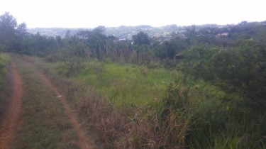 3.5 Acres Of Land