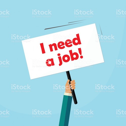 I Am Looking For A Job Please Help Me
