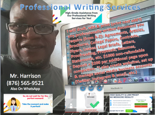 Professional Writing Services