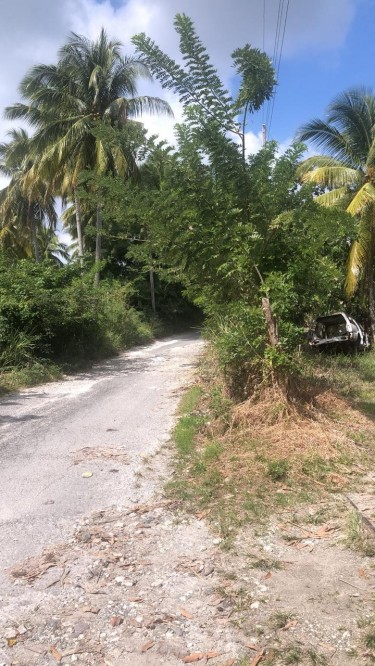 7 Acres Of Land For Sale In Lyssons St Thomas 