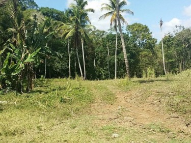 65 ACRES OF AGRICULTURAL LAND FOR SALE