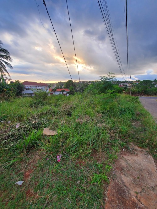 Land For Sale Islandwide in Manchester Portland St Catherine St Ann Etc