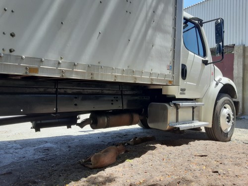 2006 Freightliner Box Truck