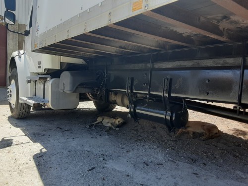 2006 Freightliner Box Truck