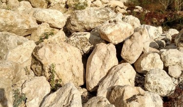 PIT STONES FOR SALE 