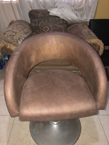 Brown Salon Chair