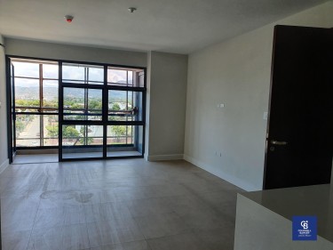 Brand New 2 Bedroom Apartment - Off Waterloo Ave