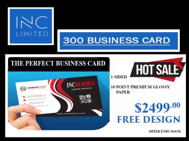 THE PERFECT BUSINESS CARD  300 BY $2499 