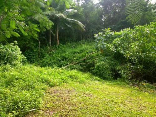Reduced Price!!! - 3 3/4acres Land