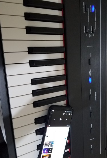 Alesis Recital Digital Piano/Keyboard 88 Keys