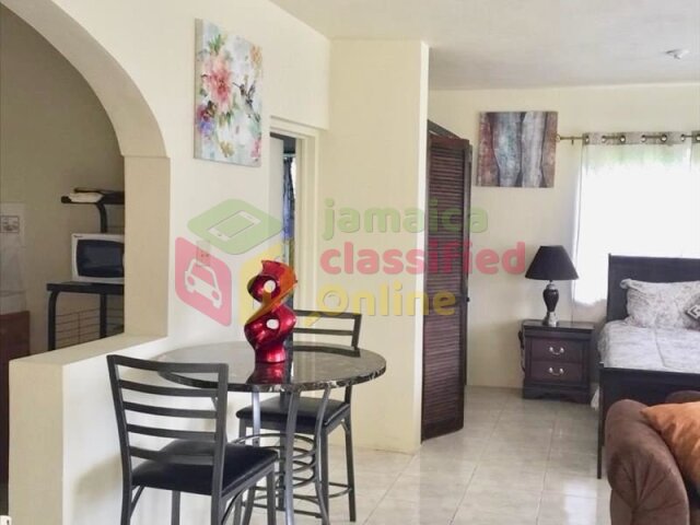 Fully Furnished- 1 Bedroom Studio Apartment
