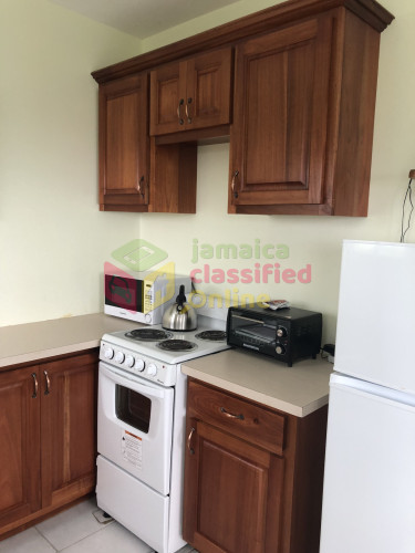  1 Bedroom Fully Furnished Apt Includes Utilities 