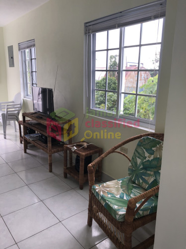  1 Bedroom Fully Furnished Apt Includes Utilities 