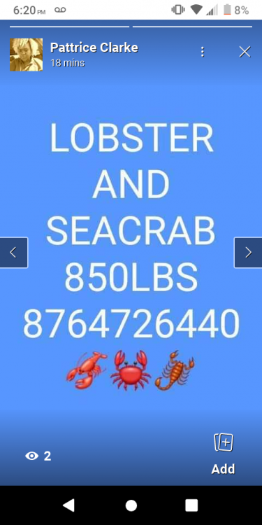 Lobster And Sea Crab 850lbs 
