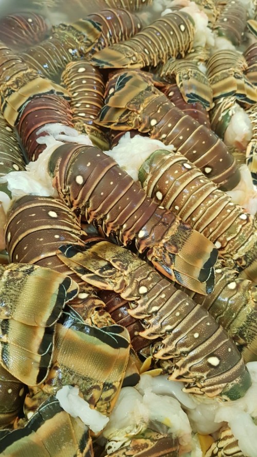 Lobsters & Lobster Tails For Sale Per Lb