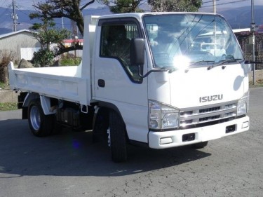 Isuzu Elf Dump 3.0 Ton