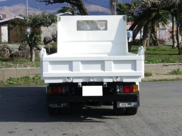 Isuzu Elf Dump 3.0 Ton