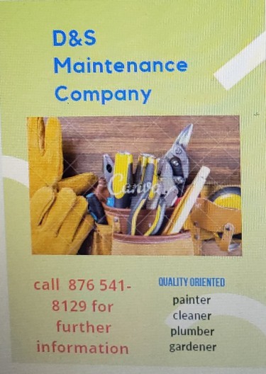 Cleaning, Plumbing,painting And Gardening Services