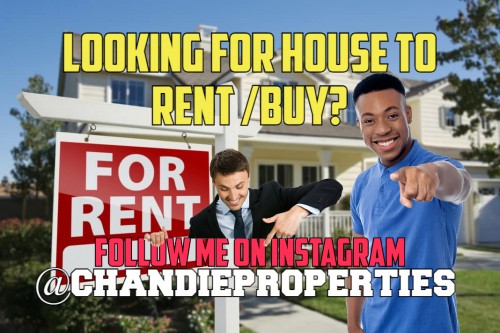 LOOKING FOR HOUSE TO RENT???