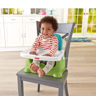 Fisher Price Baby Booster Seat