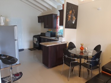 Fully Furnished 2 Bedroom With Wifi 