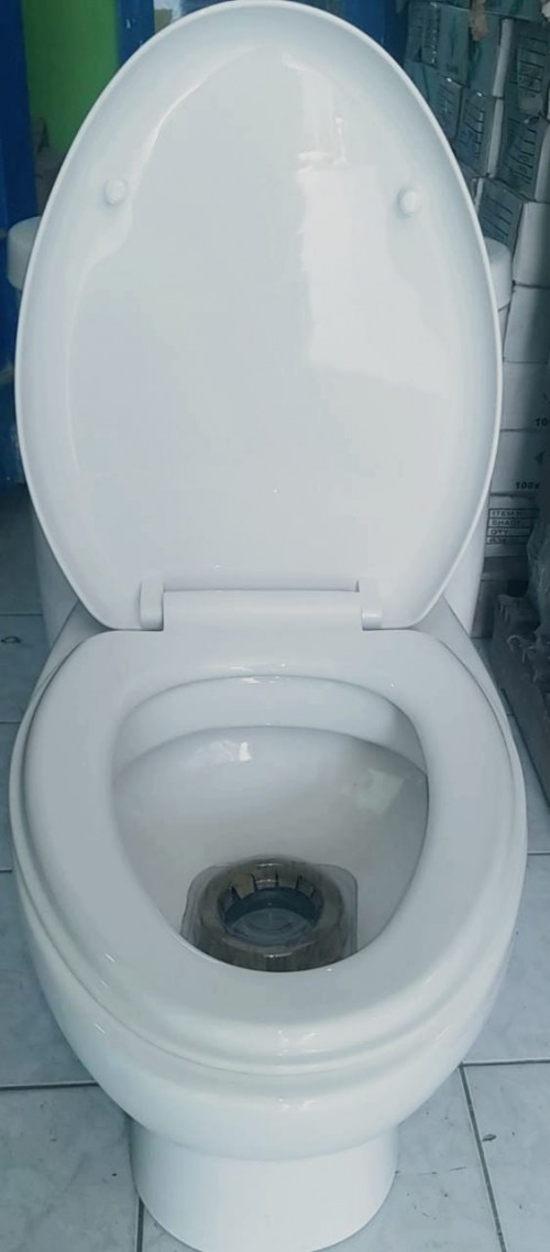 Good Quality Affordable Toilet